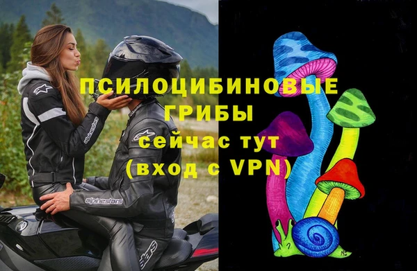 амф Аркадак
