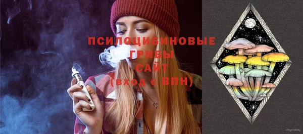 амф Аркадак