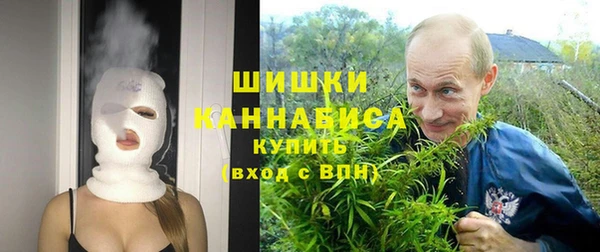 амф Аркадак