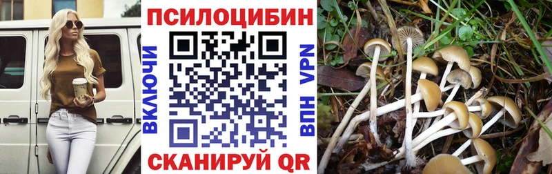 Галлюциногенные грибы MAGIC MUSHROOMS Коломна